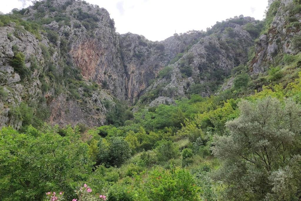 Nature Bay Apartment Kotor Extérieur photo